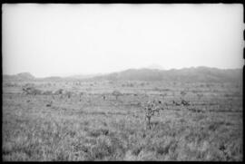 Campo cerrado visto por outro ângulo - Salinas (MG)
