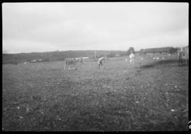 Campado em Curuguaty - Paraguai