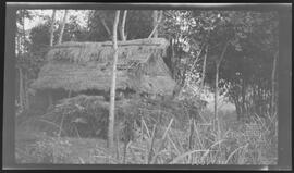 Malásia, Indonésia ou Cingapura