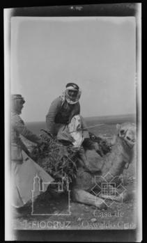 Iraque, Líbano, Síria