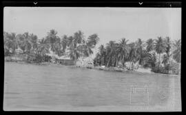 Leprosários Cabo Blanco e Isla de la Providencia
