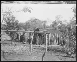 Paiol nas proximidades da mata e de casa na Fazenda São Francisco - Uberaba (MG)
