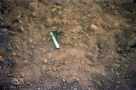 Levantamento fotográfico, vão entre o teto da biblioteca e o piso do terraço