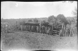 Vista de uma casa através do pasto, na Fazenda São Francisco - Uberaba (MG)