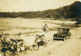Veículo e animais em passagem no Rio Ipanema, próximo a Santa de Ipanema