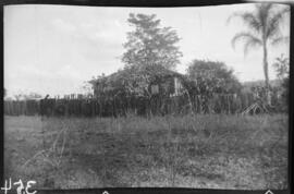 Casa aos fundos de pastos da Fazenda - Frutal (MG)