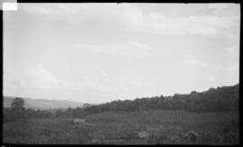 Casa em Fazenda da Gaita onde residia Manuel Batista Alves, que adoeceu e morreu de Febre Amarela...