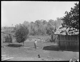 Menino no quintal da casa onde faleceu Kanashiro Giro de Febre amarela - Cambará (PR)