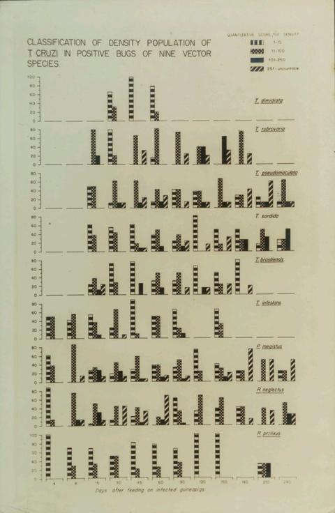 Classification of density population of T. cruzi in positive bugs of nine vector species