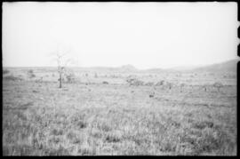 Campo Cerrado - Salinas (MG)