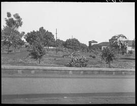Paisagem com árvores e uma construção ao fundo - Cambará (PR)
