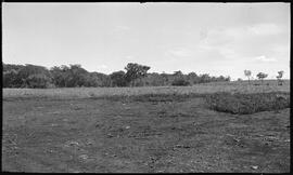 Pasto e mata em frente a casa onde Antonio Pinto Cunha faleceu de Febre Amarela, na Fazenda dos D...