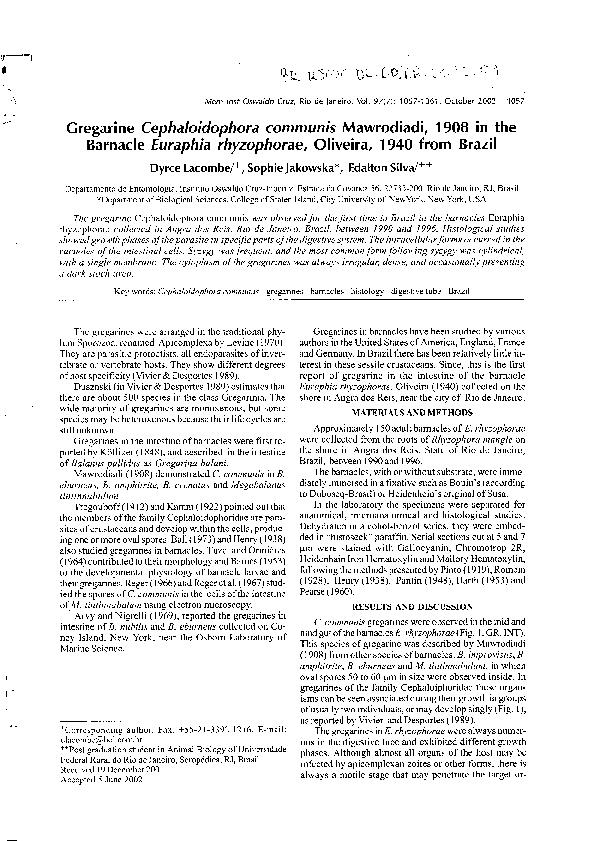 Open original digital objects