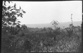 Lado direito da casa de Emília Gonçalves, na Fazenda São Francisco - Uberaba (MG)