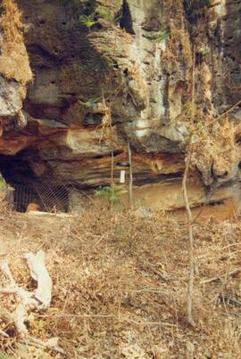 Armadilha utilizadas para a captura de insetos