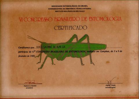 Certificado de participação no VI Congresso Brasileiro de Entomologia