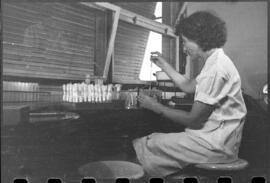 Cientista em Laboratório do SEPFA utilizando técnica para prova de fixação do complemento