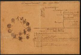 Desenvolvimento dos Coccídeos (Schema segundo Schaudinn e Düche)