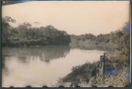 Aspectos do rio Miranda e vegetação nativa