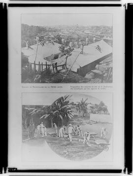 Aspecto do combate ao mosquito pelo Serviço de Profilaxia da Febre Amarela