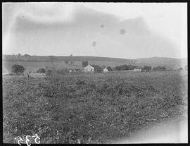 Paisagem com casas ao fundo na Vila Sta. Rita - Cambará (PR)