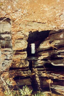 Armadilha utilizadas para a captura de insetos