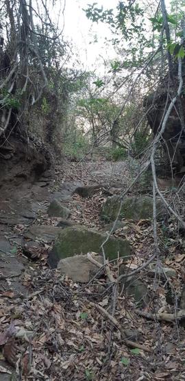 Leito seco de riacho no Vale das Videiras (Petrópolis-RJ)