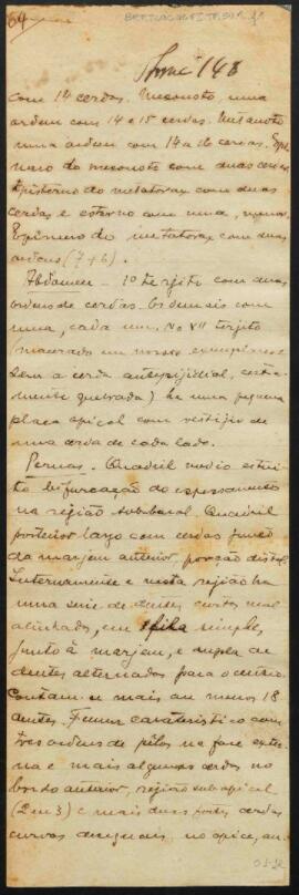 Descrição de Insetos da Coleção Entomológica