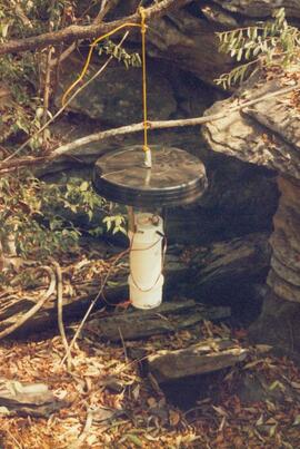 Armadilha utilizadas para a captura de insetos