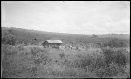 Homens e cavalos em frente à casa onde residiu e adoeceu José Paulino Filho - Passos (MG)