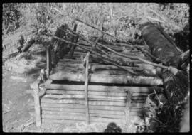 Alçapões de madeira para capturar macacos armados na Fazenda Bananal, vistos por outro ângulo - P...