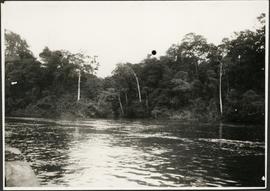 Expedição ao Amazonas